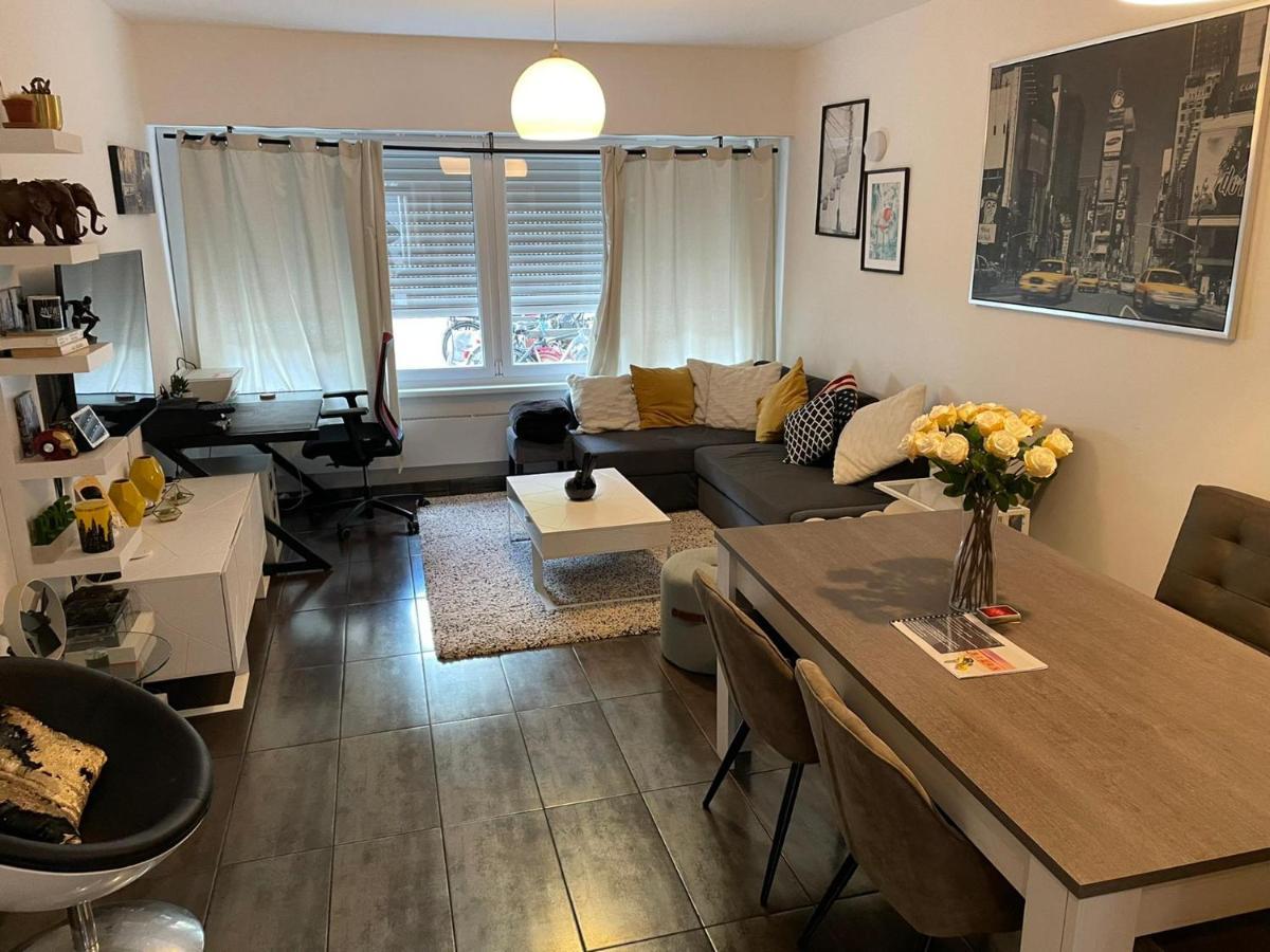Modern Apartment With Garden In Antwerp, 15Min From City Center Esterno foto